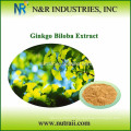 Ginkgo Biloba Leaf Extract Powder